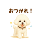 ビションフリーゼ好きのためのかわいい日常（個別スタンプ：11）