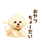 ビションフリーゼ好きのためのかわいい日常（個別スタンプ：13）
