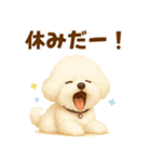 ビションフリーゼ好きのためのかわいい日常（個別スタンプ：17）