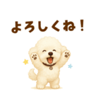 ビションフリーゼ好きのためのかわいい日常（個別スタンプ：19）