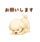 ビションフリーゼ好きのためのかわいい日常（個別スタンプ：20）