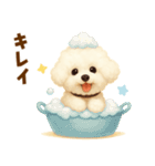 ビションフリーゼ好きのためのかわいい日常（個別スタンプ：21）