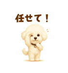 ビションフリーゼ好きのためのかわいい日常（個別スタンプ：24）