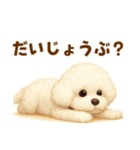 ビションフリーゼ好きのためのかわいい日常（個別スタンプ：25）