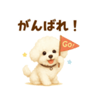 ビションフリーゼ好きのためのかわいい日常（個別スタンプ：29）