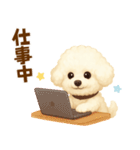 ビションフリーゼ好きのためのかわいい日常（個別スタンプ：31）