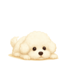 ビションフリーゼ好きのためのかわいい日常（個別スタンプ：40）