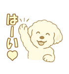 トイプードルのぷーくん【犬】白（個別スタンプ：2）