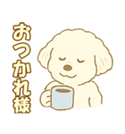 トイプードルのぷーくん【犬】白（個別スタンプ：3）