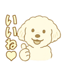 トイプードルのぷーくん【犬】白（個別スタンプ：4）