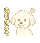 トイプードルのぷーくん【犬】白（個別スタンプ：5）