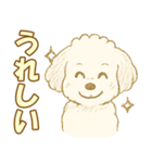 トイプードルのぷーくん【犬】白（個別スタンプ：7）