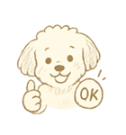 トイプードルのぷーくん【犬】白（個別スタンプ：8）