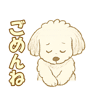 トイプードルのぷーくん【犬】白（個別スタンプ：9）