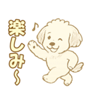 トイプードルのぷーくん【犬】白（個別スタンプ：10）