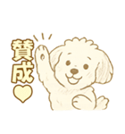 トイプードルのぷーくん【犬】白（個別スタンプ：11）
