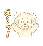 トイプードルのぷーくん【犬】白（個別スタンプ：13）