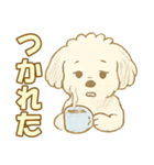 トイプードルのぷーくん【犬】白（個別スタンプ：14）