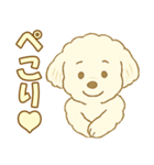 トイプードルのぷーくん【犬】白（個別スタンプ：15）