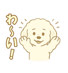 トイプードルのぷーくん【犬】白（個別スタンプ：16）