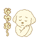 トイプードルのぷーくん【犬】白（個別スタンプ：17）