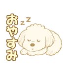 トイプードルのぷーくん【犬】白（個別スタンプ：18）