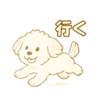 トイプードルのぷーくん【犬】白（個別スタンプ：19）