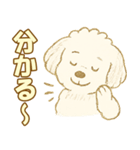 トイプードルのぷーくん【犬】白（個別スタンプ：23）