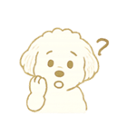 トイプードルのぷーくん【犬】白（個別スタンプ：24）