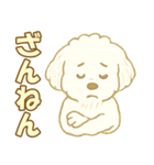 トイプードルのぷーくん【犬】白（個別スタンプ：25）