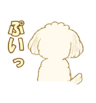 トイプードルのぷーくん【犬】白（個別スタンプ：28）