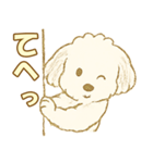 トイプードルのぷーくん【犬】白（個別スタンプ：29）