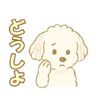 トイプードルのぷーくん【犬】白（個別スタンプ：30）