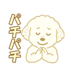 トイプードルのぷーくん【犬】白（個別スタンプ：34）