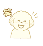 トイプードルのぷーくん【犬】白（個別スタンプ：35）