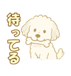 トイプードルのぷーくん【犬】白（個別スタンプ：37）