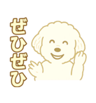 トイプードルのぷーくん【犬】白（個別スタンプ：38）
