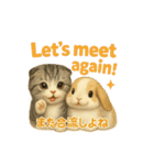 猫の種類いろいろ日常会話  35（個別スタンプ：2）