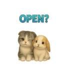 猫の種類いろいろ日常会話  35（個別スタンプ：3）