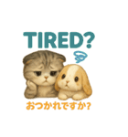 猫の種類いろいろ日常会話  35（個別スタンプ：6）