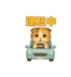 猫の種類いろいろ日常会話  35（個別スタンプ：20）