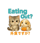 猫の種類いろいろ日常会話  35（個別スタンプ：23）
