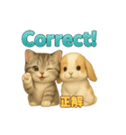 猫の種類いろいろ日常会話  35（個別スタンプ：30）