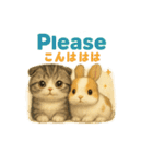 猫の種類いろいろ日常会話  35（個別スタンプ：35）