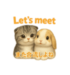 猫の種類いろいろ日常会話  35（個別スタンプ：37）