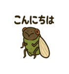 いろんなセミの日常スタンプ（個別スタンプ：1）