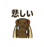 いろんなセミの日常スタンプ（個別スタンプ：4）