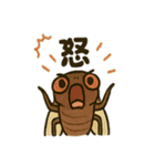 いろんなセミの日常スタンプ（個別スタンプ：5）