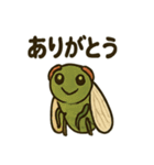 いろんなセミの日常スタンプ（個別スタンプ：6）