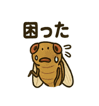 いろんなセミの日常スタンプ（個別スタンプ：8）